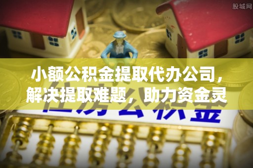 共青城小额公积金提取代办公司，解决提取难题，助力资金灵活使用