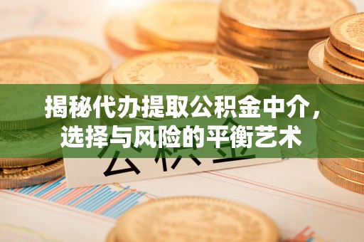 共青城揭秘代办提取公积金中介，选择与风险的平衡艺术
