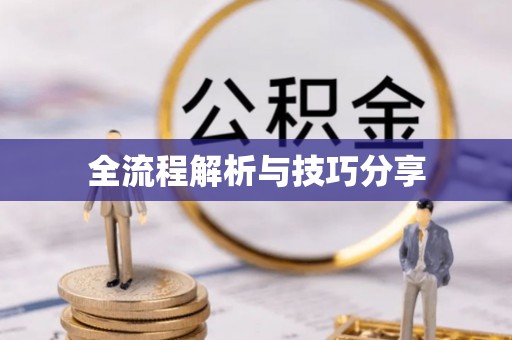 共青城全流程解析与技巧分享