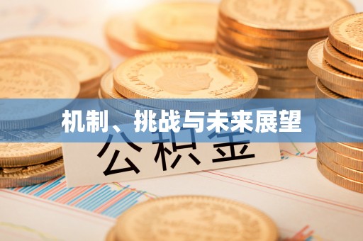 共青城机制、挑战与未来展望
